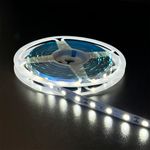 FITA_LED_5050_IP20_BF_6500K_-3-